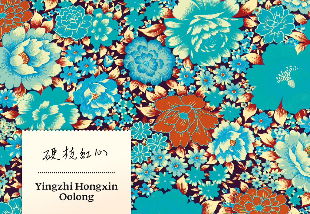Yingzhi Hongxin Oolong