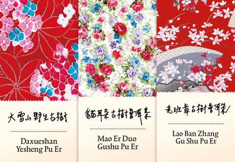 Degustations-Set Pu Er vertiefen II